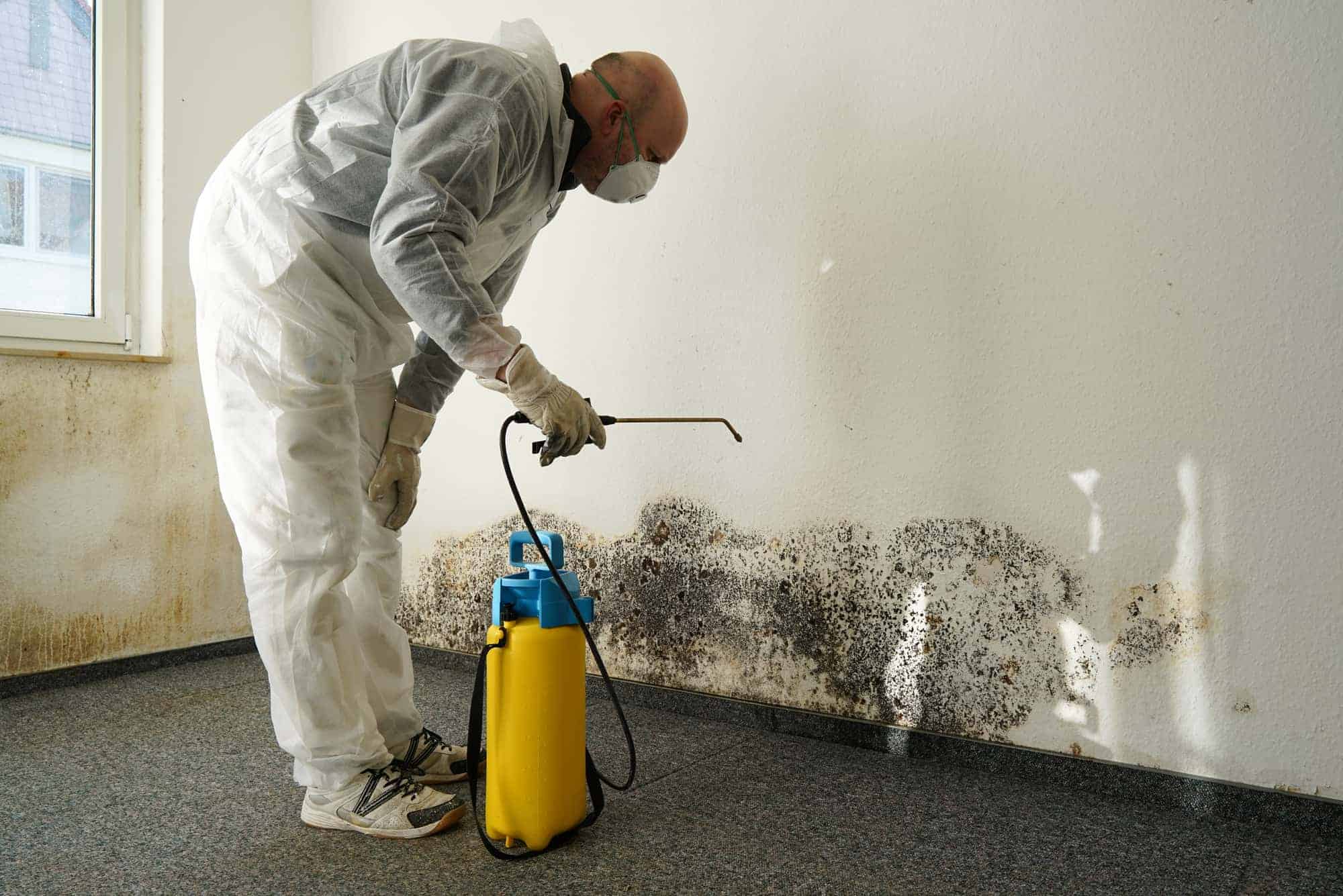 Mold Inspection Cost Minneapolis, Mold Mitigation Minneapolis, Mold Remediation Minneapolis, Mold Removal Minneapolis, Black Mold Removal Minneapolis, Mold Removal Cost Minneapolis, Mold Inspection Cost Minneapolis, Mold Specialist Near Me Minneapolis