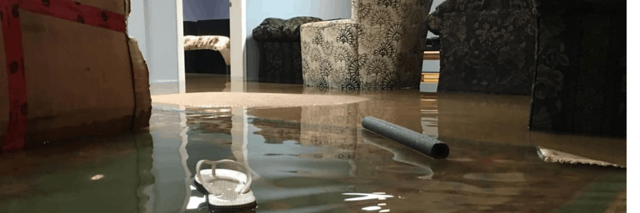 Water Damage Restoration Minneapolis, Water Damage Minneapolis, Water Damage Specialist Minneapolis, Minneapolis Water Damage, Water Damage Restoration Company Minneapolis, Water Remediation Company Minneapolis, Water Extraction Companies Minneapolis