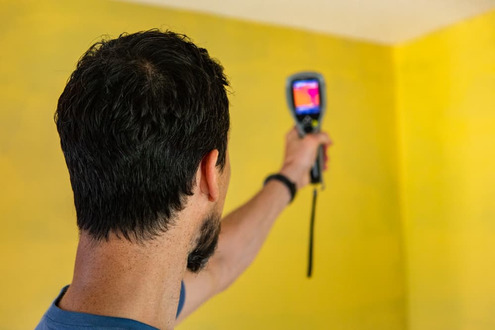 MN Mold Remediation, Mold Removal Minneapolis, Minnesota Mold Repair Services
