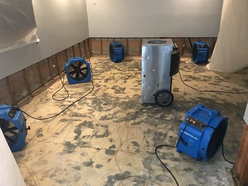 Mold Remediation Minneapolis, Water Damage Minneapolis, Minneapolis Water Damage, Water Damage Minneapolis, Water Damage Restoration Minneapolis