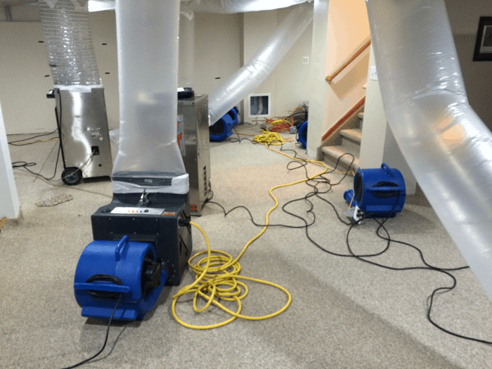 Mold Inspection Cost Minneapolis, Mold Mitigation Minneapolis, Mold Remediation Minneapolis, Mold Removal Minneapolis, Black Mold Removal Minneapolis, Mold Removal Cost Minneapolis, Mold Inspection Cost Minneapolis, Mold Specialist Near Me Minneapolis